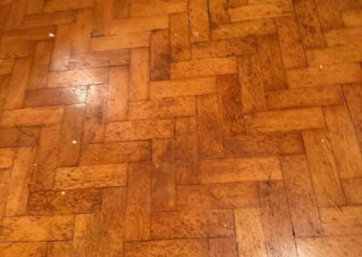 lgj property maintenance 2