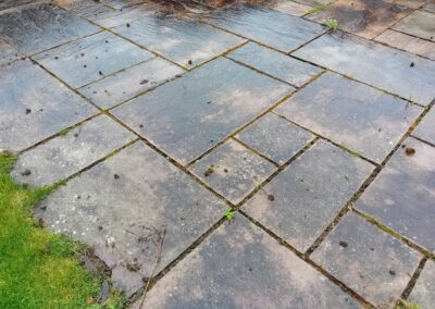 lgj property maintenance 37